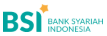 BSI Virtual Account